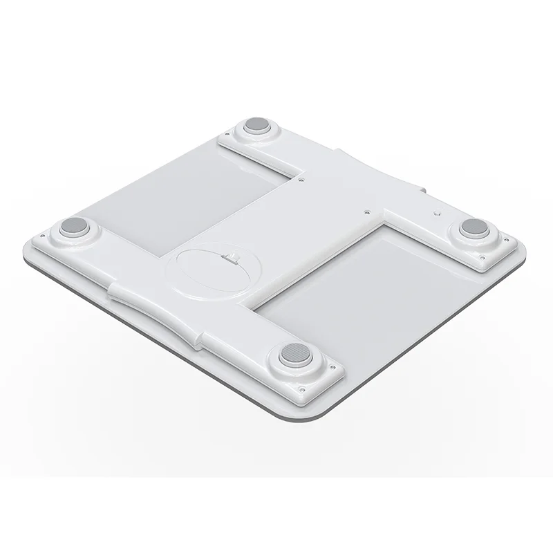 JPD-700C Weight Scale - immagine 2